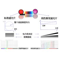 線性漸變?yōu)V光片是什么？有何特點？